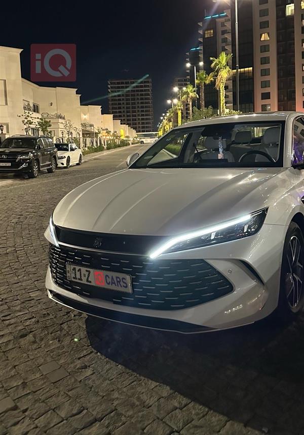 بي واي دي كوين L DM-i 2025 للبيع في العراق -  بغداد